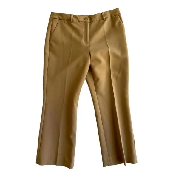 Talbots Raleigh muted acorn Straight leg Light brown Tan pants trousers sz 10 - Picture 2 of 11